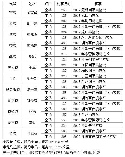 遇見(jiàn)更好的自己-北方的狼 ——?jiǎng)倮摴荞R拉松隊(duì)